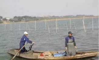 聚焦水韻江蘇 環(huán)保技術驅(qū)動，多地水污染防治成效顯著