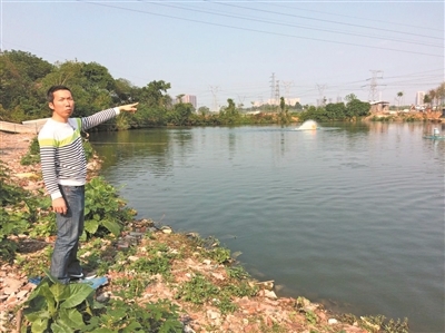 完善廣佛跨界區(qū)域水污染治理 獅山以環(huán)保技術服務驅(qū)動產(chǎn)業(yè)轉(zhuǎn)型 關閉養(yǎng)殖場121戶